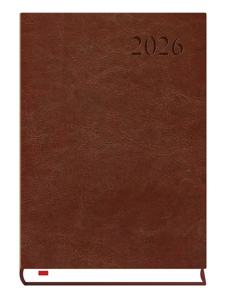 Kalendarz A5 Asystent Alaska brązowy T-237A-S Michalczyk i Prokop